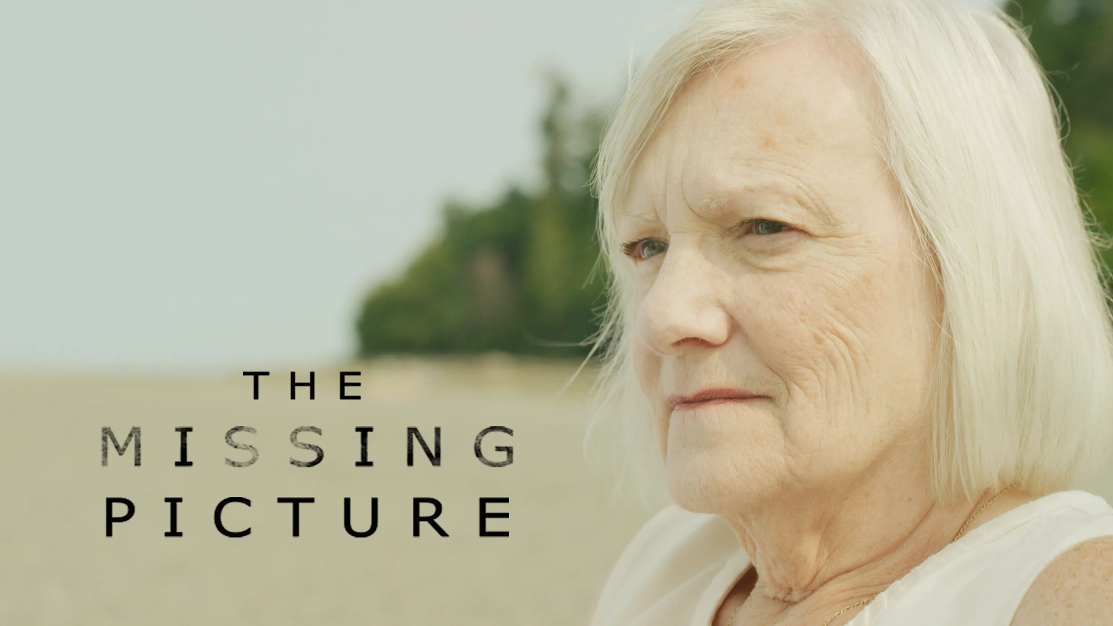 The Missing Picture poster